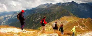 Groenland : le développement touristique, opportunité ou menace ?